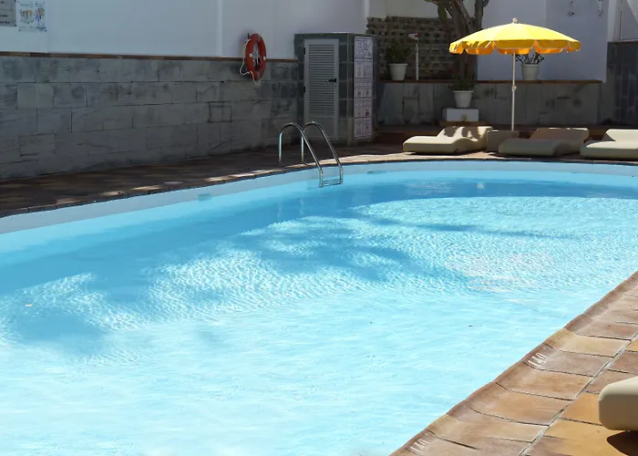 Jacarandas Playa del Ingles (Gran Canaria)